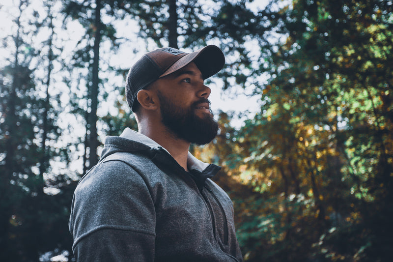 how to apply beard oil