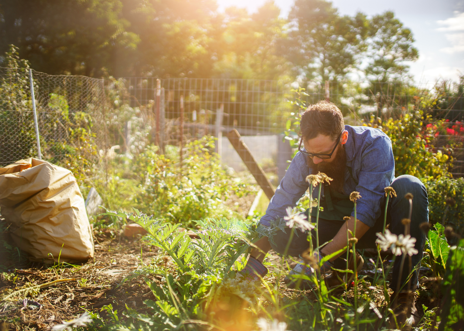 Go Grow Something! A Guy’s Guide to Gardening.